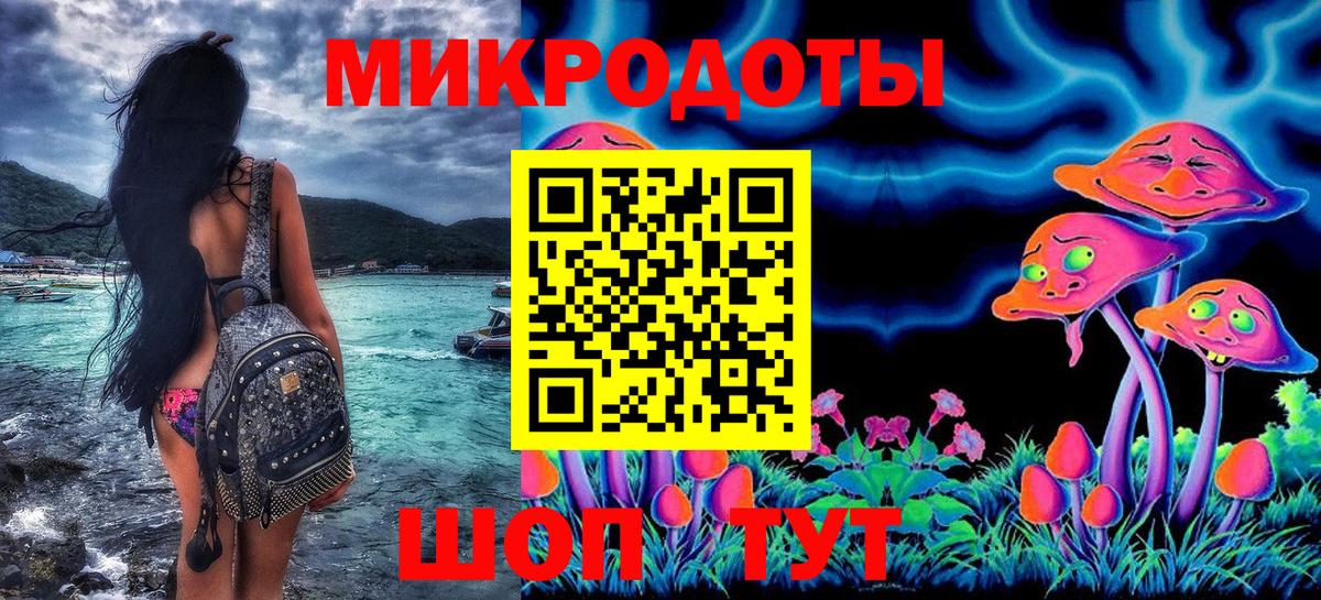 Псилоцибиновые грибы Cubensis Великий Устюг