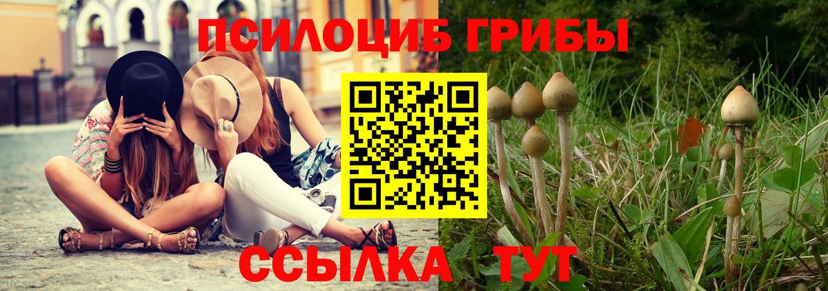 Галлюциногенные грибы прущие грибы  Вход с VPN  Псилоцибиновые грибы Psilocybine cubensis  Великий Устюг 